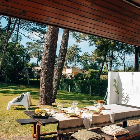 Just Like - Santa Sophia