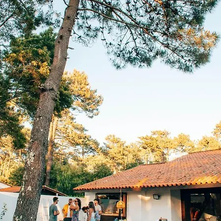 Just Like - Santa Sophia *