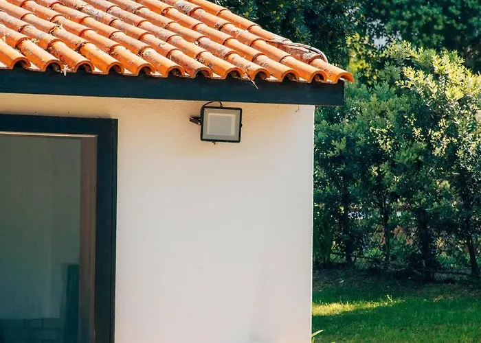 Just Like - Santa Sophia Santana