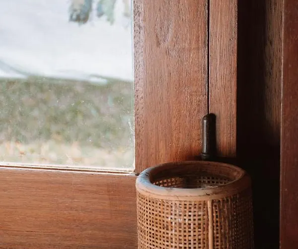 Just Like - Santa Sophia *