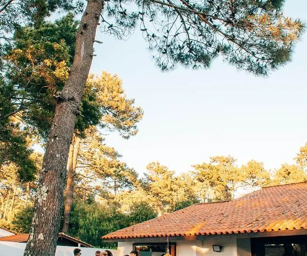 Just Like - Santa Sophia *